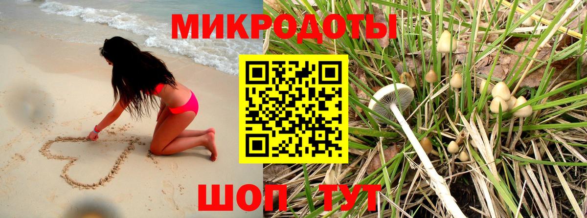 Псилоцибиновые грибы GOLDEN TEACHER Воронеж