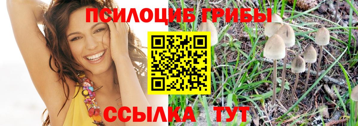 Галлюциногенные грибы Psilocybe  Вход с VPN  Воронеж 